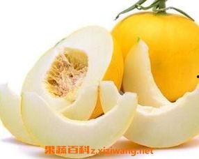 伊丽莎白瓜怎么切直接吃,轻松享受夏日清新美味