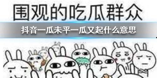 抖音连环吃瓜,连环瓜事，揭秘娱乐圈幕后真相