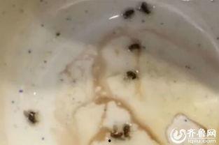 吃瓜吃出虫子,瓜中现虫，揭秘食品安全背后的隐患