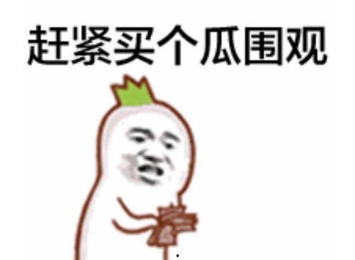 表情吃瓜群众看戏,揭秘看戏背后的心理奥秘