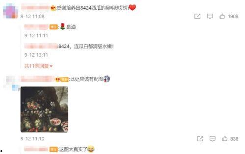 高级吃瓜音效,揭秘娱乐圈幕后风云