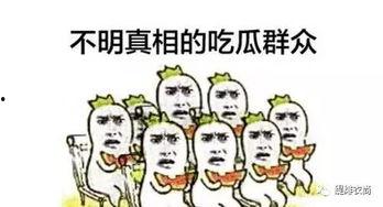 吃瓜群众淘宝搜索不到,为何“吃瓜群众”在淘宝搜索无果之谜