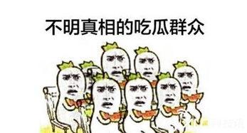 吃瓜到底什么关系,揭秘“吃瓜群众”背后的社会关系与网络现象
