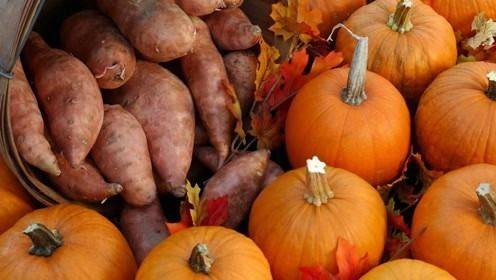 高尿酸吃脆瓜好吗,健康饮食新选择