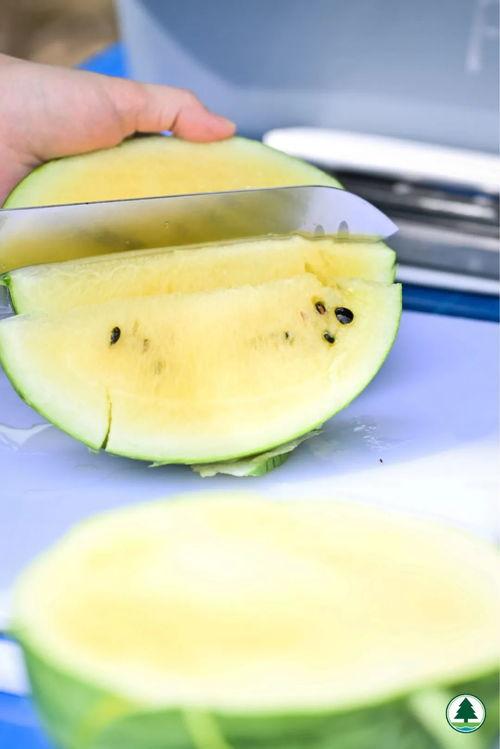 吃瓜板,吃瓜板带你领略明星幕后故事