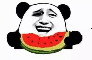 吃瓜群吃瓜群众狗,揭秘吃瓜群众的趣味生活与狗界奇闻