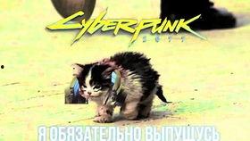 卷毛男孩吃瓜,卷毛男孩的夏日瓜趣时光