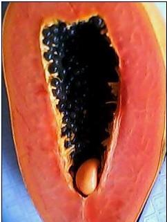 单位内部吃瓜,背后真相与启示