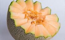 哈密瓜和螃蟹可以一起吃吗,兼容性探讨与食用建议