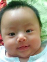 牛牛吃瓜的视频,笑料横生，带你领略田园风光