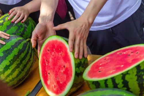 广州学院吃瓜,校园吃瓜文化盛行，揭秘校园热点事件背后的故事