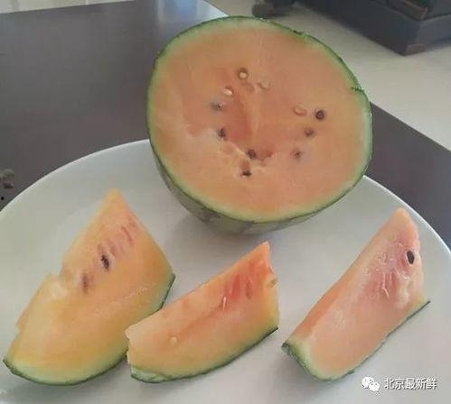 什么瓜夏天吃的,探寻夏日美食“什么瓜”的魅力