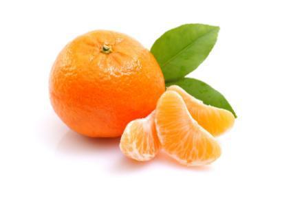 胖橘吃蜜瓜,胖橘甜蜜蜜瓜之旅