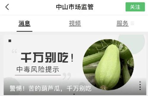 吃瓜系统在线中