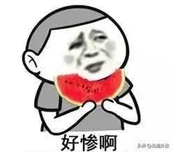 吃瓜心疼,揭秘娱乐圈背后的心酸故事