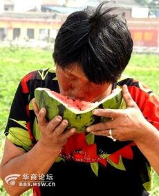 农村老太太吃瓜,农村老太太的夏日瓜香时光