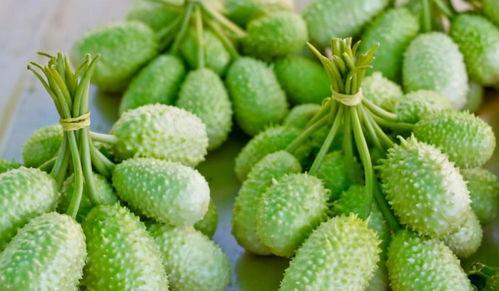 吃瓜大白30,一场关于美食与生活的深度对话