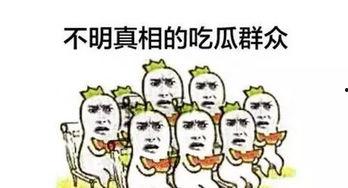 吃瓜群众小网民,小网民的狂欢与反思